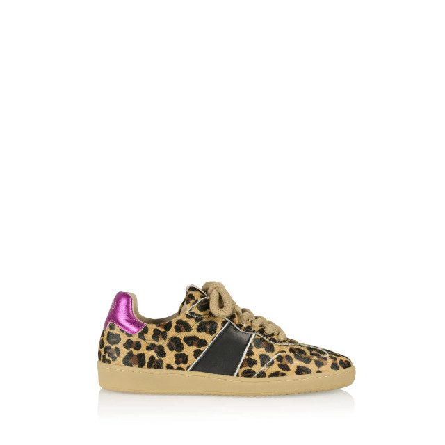 DWRS Label B11456-13 poona leopard combi black/fuchsia B11456-13 large