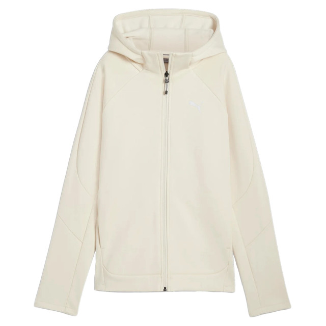 Puma Evostripe winterized fz ho 131192 large