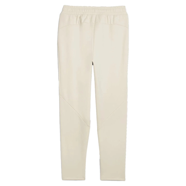 Puma Evostripe winterized pants 131191 large