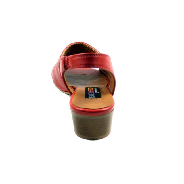 Everybody 28218 28218 large