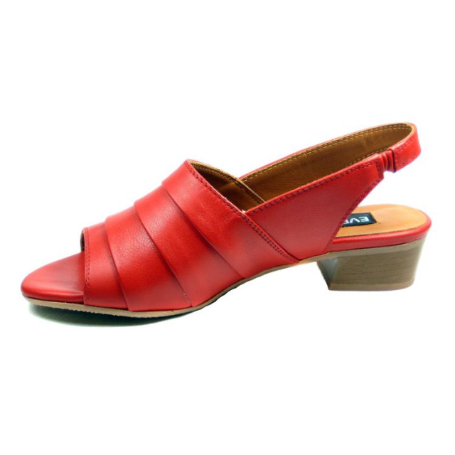 Everybody 28218 28218 large