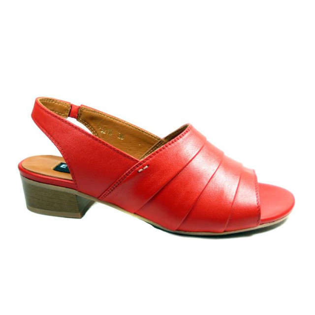 Everybody 28218 28218 large