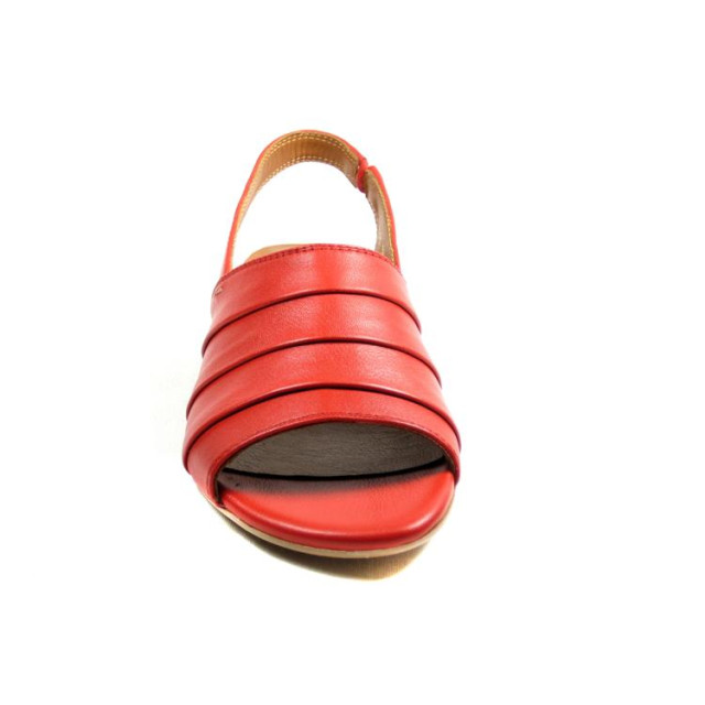 Everybody 28218 28218 large