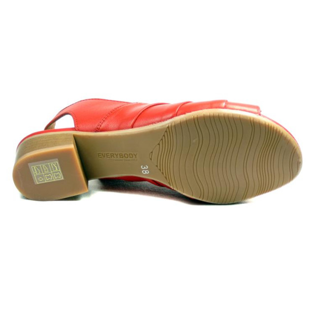 Everybody 28218 28218 large