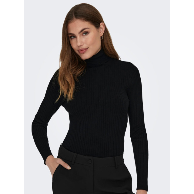Only Onlkarol ls rollneckpullover - 4219.80.1483 large