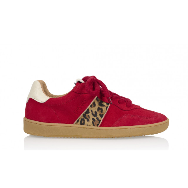 DWRS Label Poona leopard B11456-12-5348 large