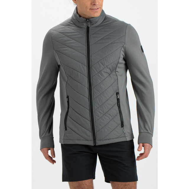 Falcon Tarpo tarpo-g113 FALCON tarpo tarpo-g113 large Falcon Tarpo tarpo-g113 FALCON tarpo tarpo-g113 large