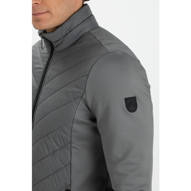 Falcon Tarpo tarpo-g113 FALCON tarpo tarpo-g113 large Falcon Tarpo tarpo-g113 FALCON tarpo tarpo-g113 large