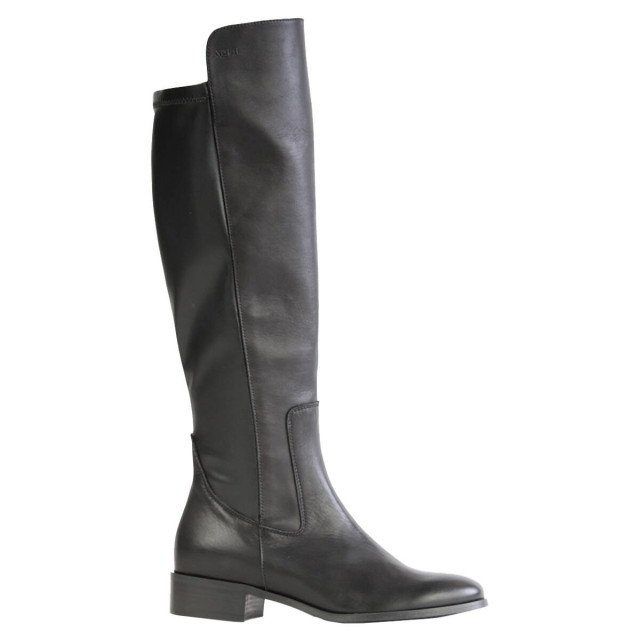 Roberto d'Angelo Laarzen paco Roberto d'Angelo Laarzen PACO large