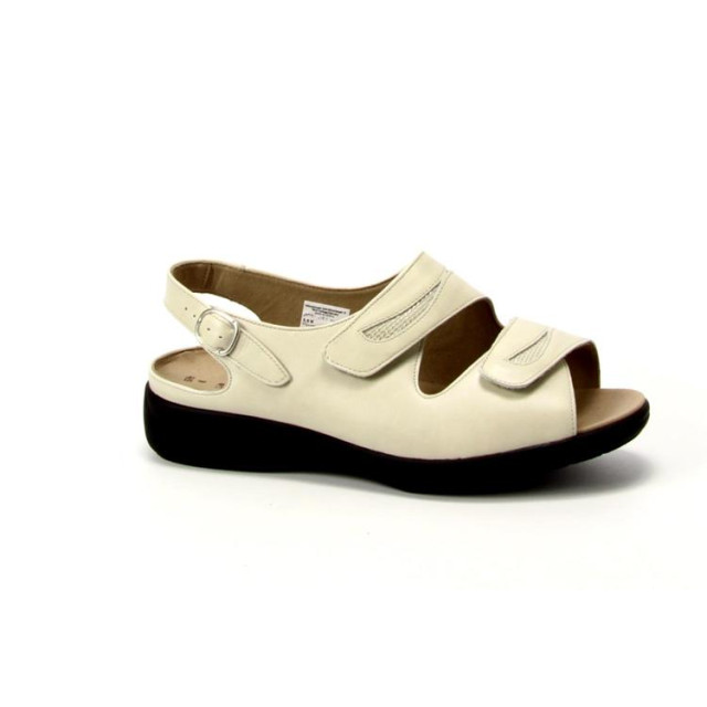 Solidus 73113 73113 Lia large