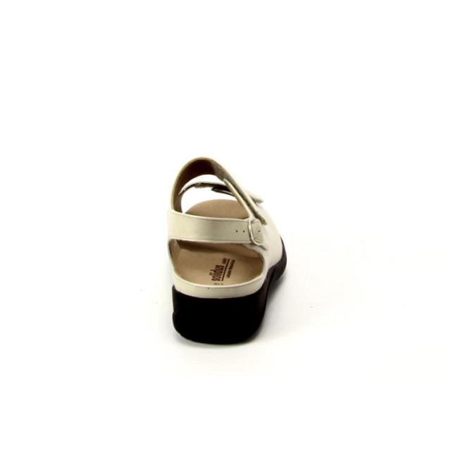Solidus 73113 73113 Lia large
