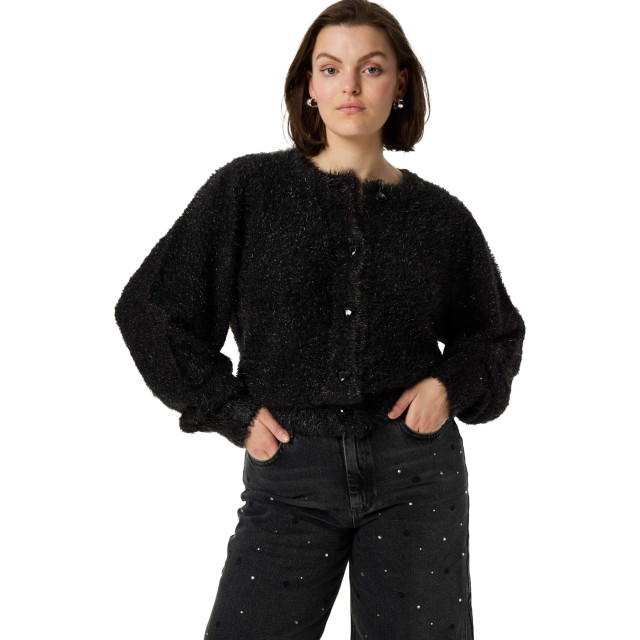 Fabienne Chapot Kitty cardigan CLT-CAR-05-AW24-9-9001 large
