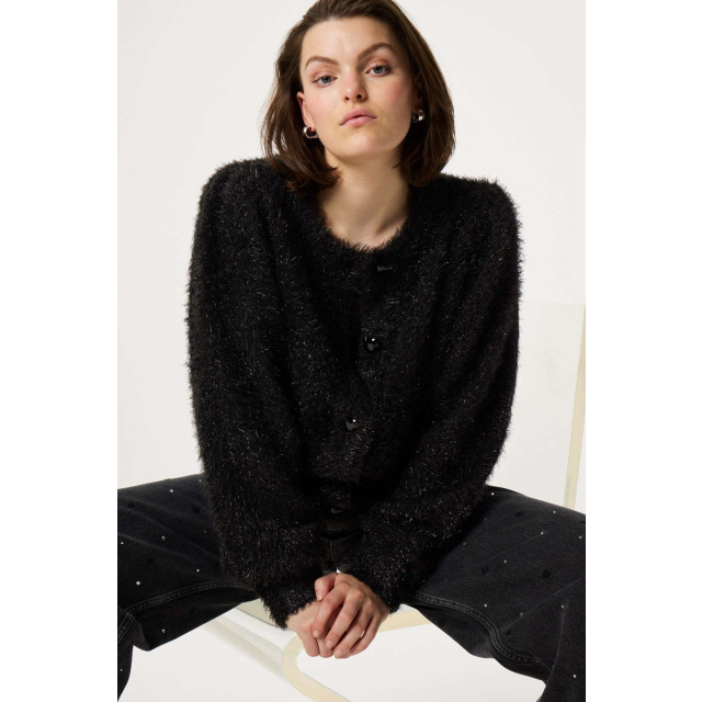 Fabienne Chapot Kitty cardigan CLT-CAR-05-AW24-9-9001 large
