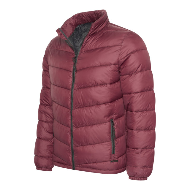 Cappuccino Italia Winter jacket burgundy cap-wja-bur-XL large