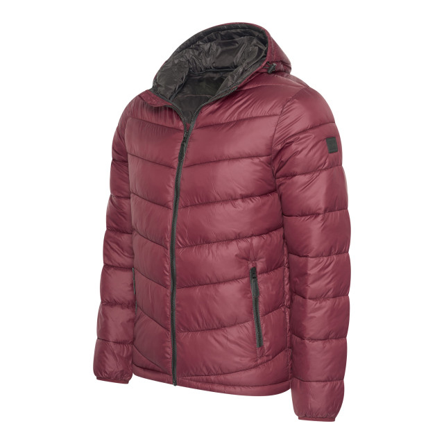 Cappuccino Italia Hooded winter jacket burgundy cap-hwj-bur-L large