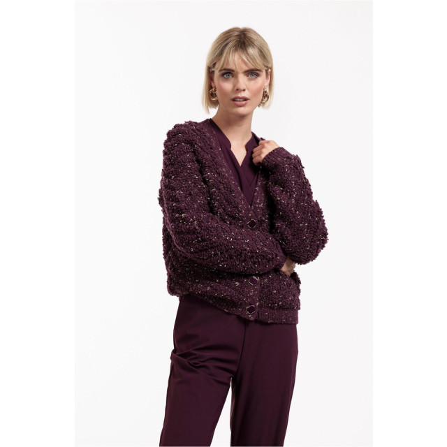 Studio Anneloes Iris chunky glitter cardigan aubergine 4249.54.0016 large