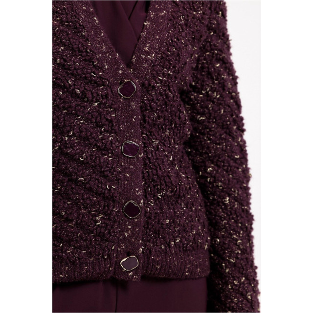 Studio Anneloes Iris chunky glitter cardigan aubergine 4249.54.0016 large