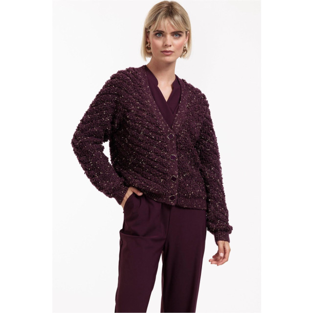Studio Anneloes Iris chunky glitter cardigan aubergine 4249.54.0016 large