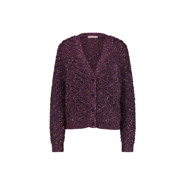 Studio Anneloes Iris chunky glitter cardigan aubergine 4249.54.0016 large