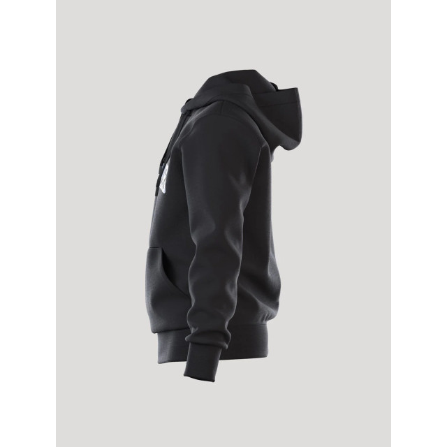Björn Borg Heren borg essential hoody 10002039-BK001 large