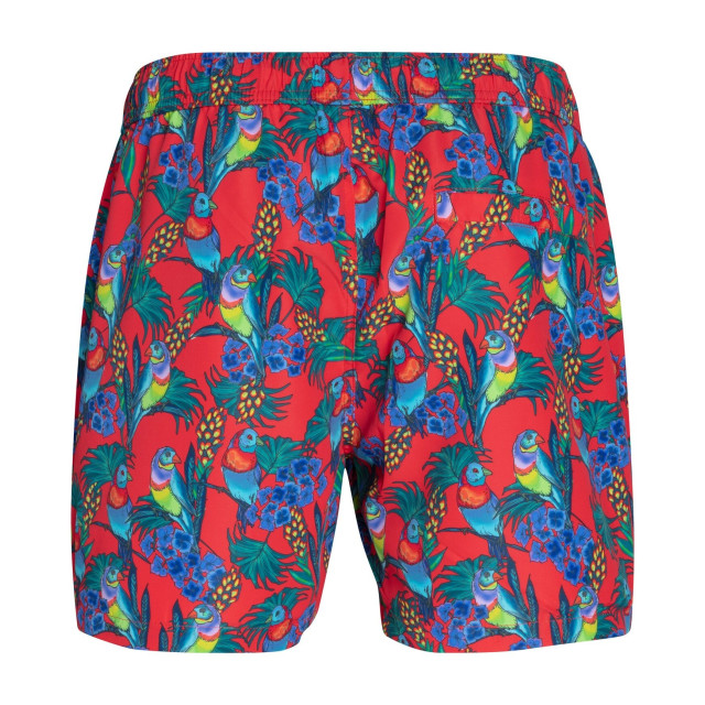 Björn Borg Björn borg swimshort sylvester – tropical print met papegaaien 1921-1048-50791 large