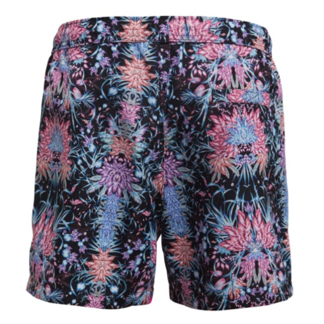 Björn Borg Björn borg swimshort sylvester 2011-1106-91581 large