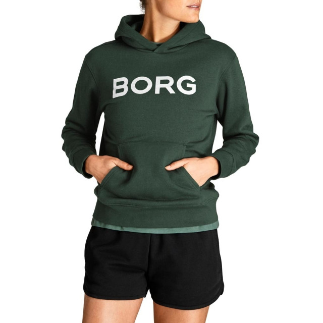 Björn Borg Dames hoody bb logo 2111-1231-81461 large