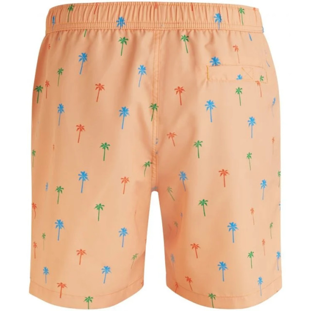 Björn Borg Heren swimshort sylvester 1821-1190-30491 large
