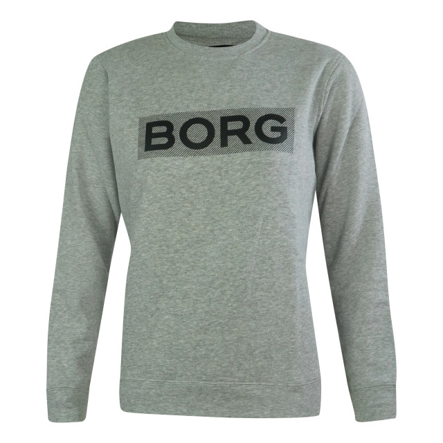 Björn Borg Dames sweater iriz 1931-1969-90741 large