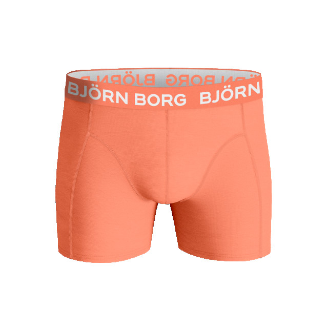 Björn Borg Heren boxershort 5p cotton stretch 10002346-MP006 large