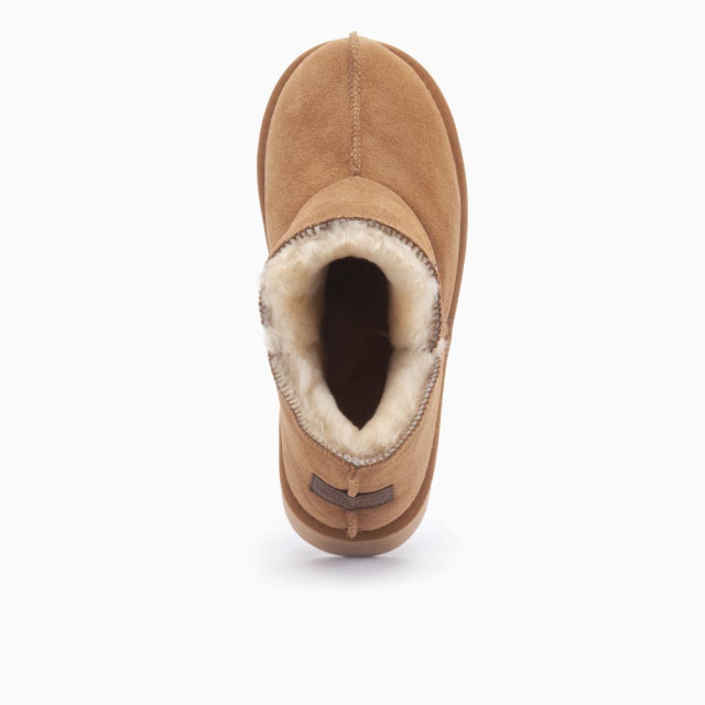 Warmbat Willow plateau WLW3710-25 large