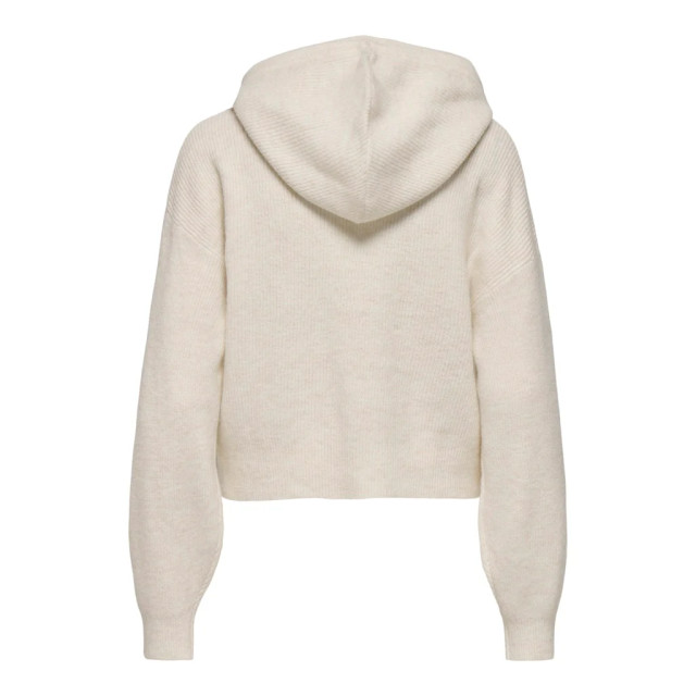 Jacqueline de Yong Lumi life l/s hood pullover JDYLUMI LIFE L/S HOOD PULLOVER large