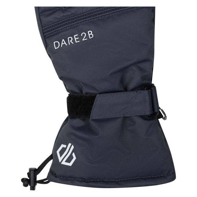 Dare2b Regatta heren worthy skihandschoenen UTRG4754_ebonygrey large