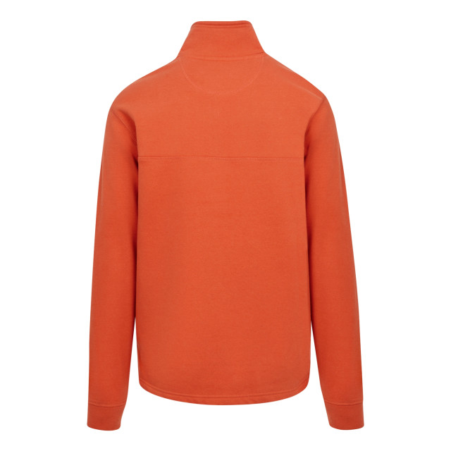 Regatta Heren agilno half zip fleece top UTRG10682_rustyorange large