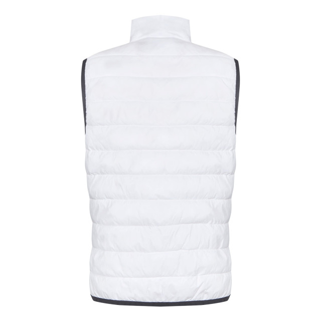 Regatta Dames hillpack ii gilet UTRG10774_white large