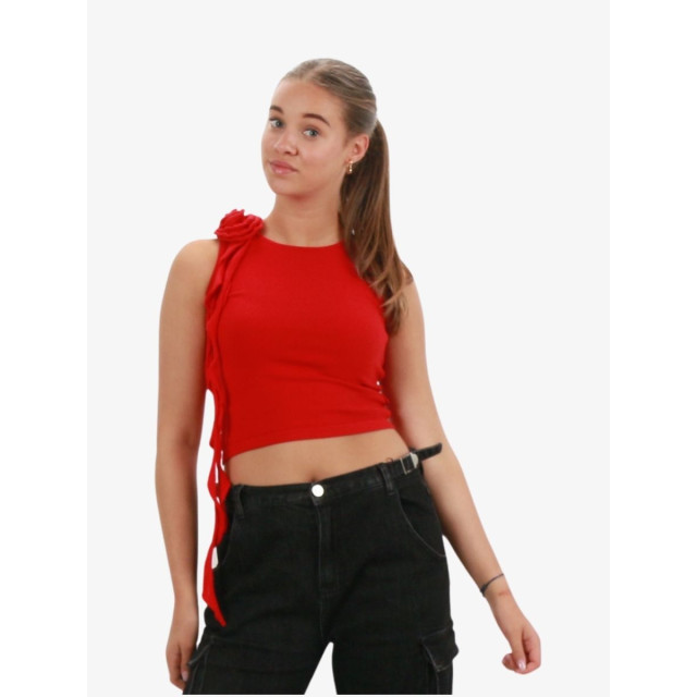 Reinders Dames top rosie ruffles REINDERSW3370-281 large