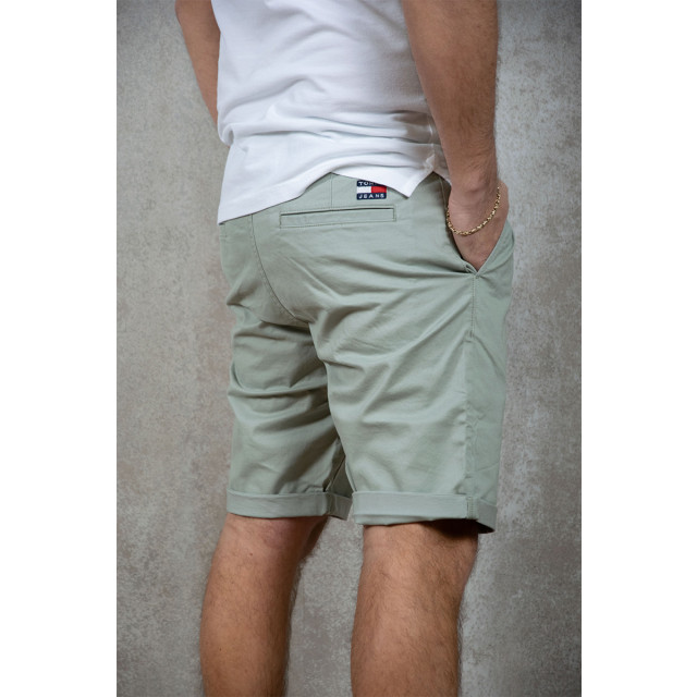 Tommy Hilfiger Scanton short 153.41.0001 large