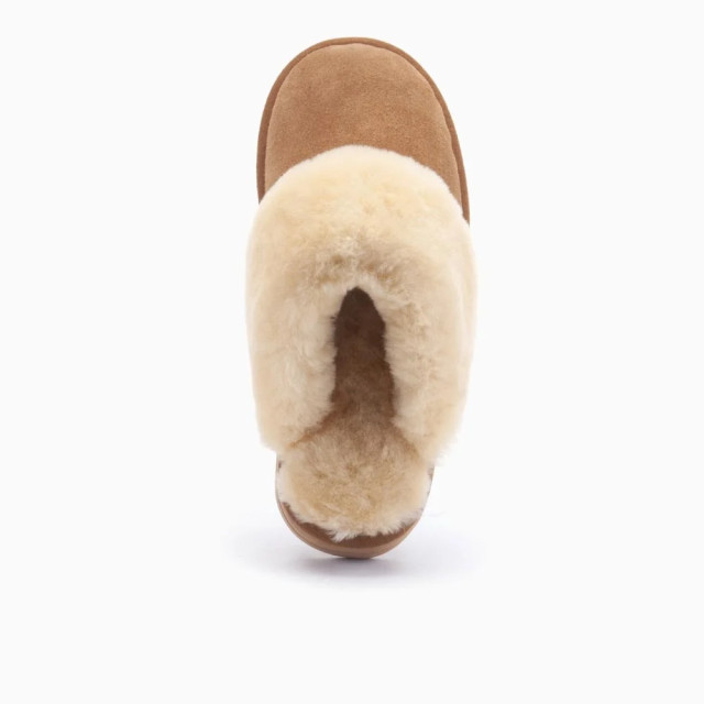 Warmbat Flurry plateau fls3710 25 cognac FLS3710 25 large