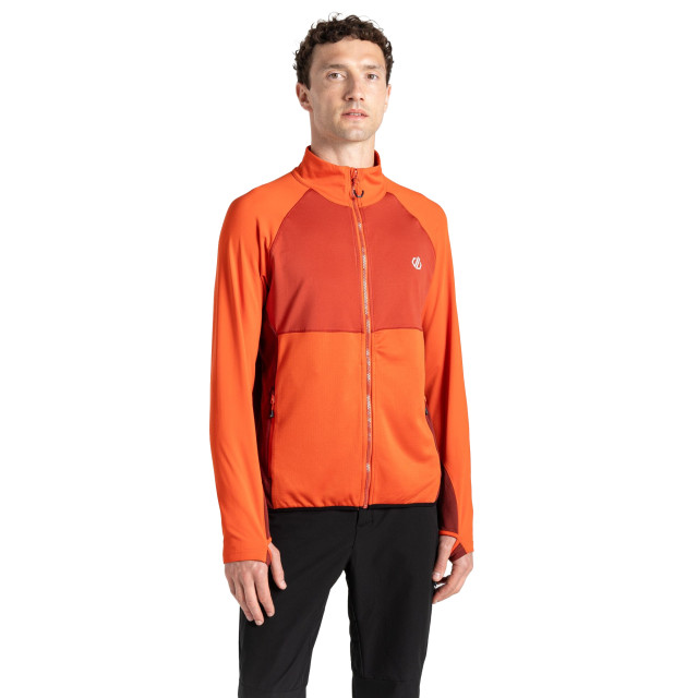 Dare2b Heren substratum ii core stretch midlayer UTRG9940_cinnamontuscanred large Dare2b Heren substratum ii core stretch midlayer UTRG9940_cinnamontuscanred large