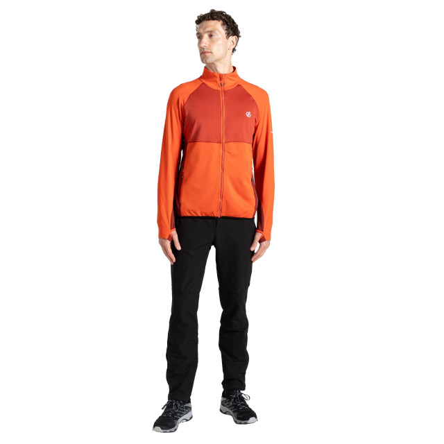 Dare2b Heren substratum ii core stretch midlayer UTRG9940_cinnamontuscanred large Dare2b Heren substratum ii core stretch midlayer UTRG9940_cinnamontuscanred large