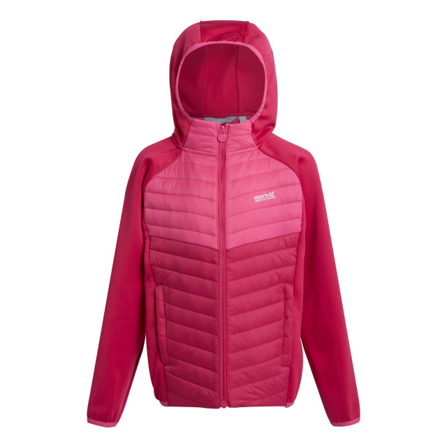 Regatta Kinders/kids kielder viii hybride jas UTRG9921_pinkpotionflamingopink large