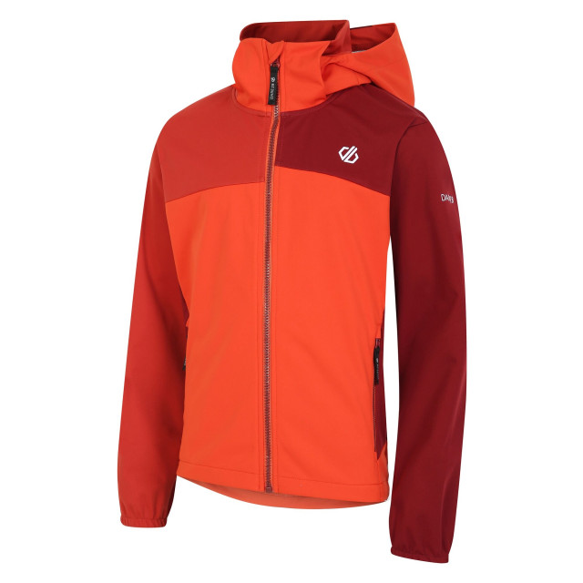 Dare2b Kinder/kids cheer soft shell jas UTRG9943_cinnamontuscanred large Dare2b Kinder/kids cheer soft shell jas UTRG9943_cinnamontuscanred large
