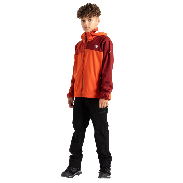 Dare2b Kinder/kids cheer soft shell jas UTRG9943_cinnamontuscanred large Dare2b Kinder/kids cheer soft shell jas UTRG9943_cinnamontuscanred large