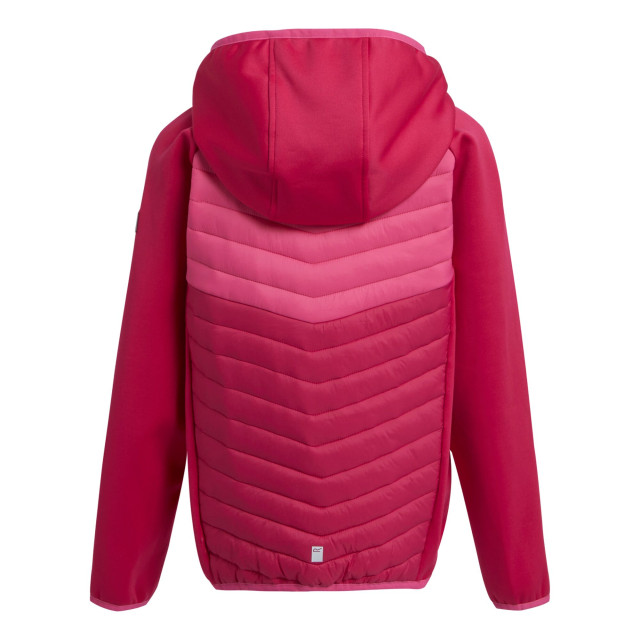 Regatta Kinders/kids kielder viii hybride jas UTRG9921_pinkpotionflamingopink large