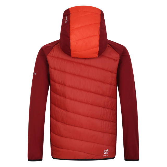 Dare2b Kinder/kids explore hybride jas UTRG9905_syrahcinnamon large Dare2b Kinder/kids explore hybride jas UTRG9905_syrahcinnamon large
