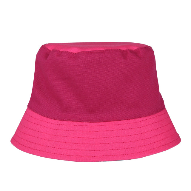 Regatta Kinder/kinder flip leaf print emmerhoed UTRG9723_tahoebluepinkpotion large