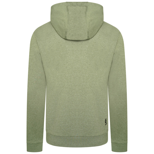Dare2b Heren lounge out full zip hoodie UTRG9747_agavemarl large