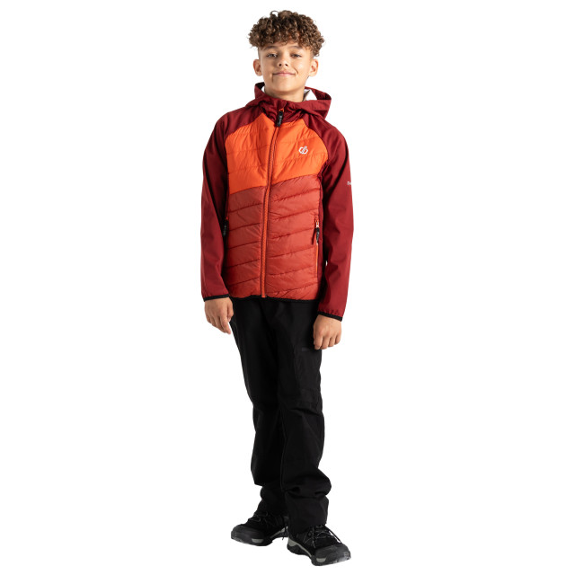 Dare2b Kinder/kids explore hybride jas UTRG9905_syrahcinnamon large Dare2b Kinder/kids explore hybride jas UTRG9905_syrahcinnamon large