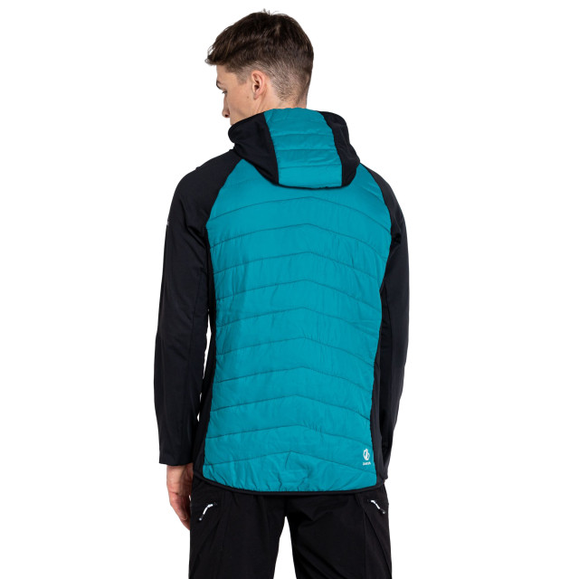 Dare2b Heren mountaineer wol hybride jas UTRG7096_blackfjordblue large