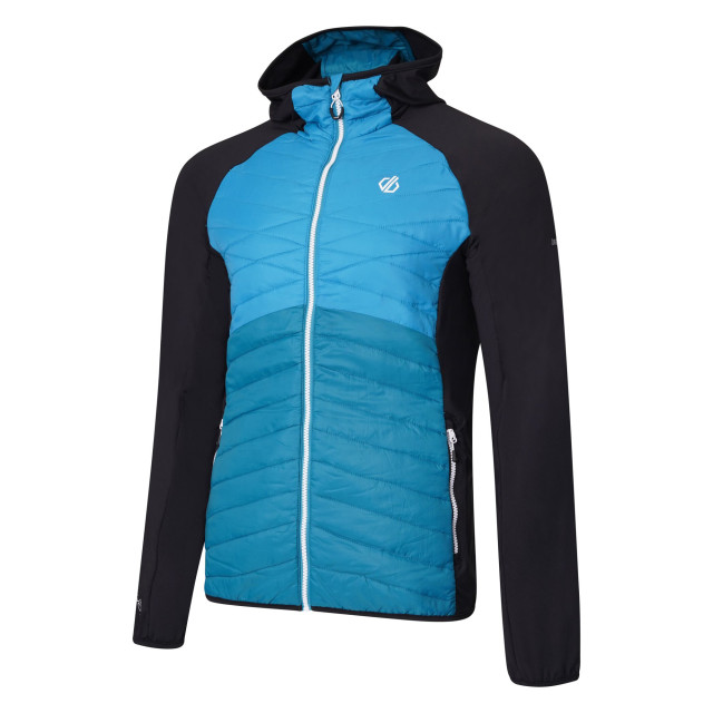 Dare2b Heren mountaineer wol hybride jas UTRG7096_blackfjordblue large